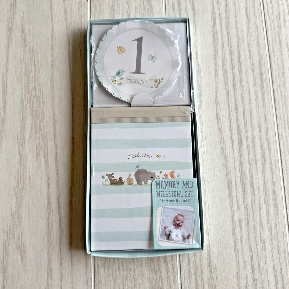 Memory & Milestone Set 1st Year Baby Stepping Stones , Album with belly stickers